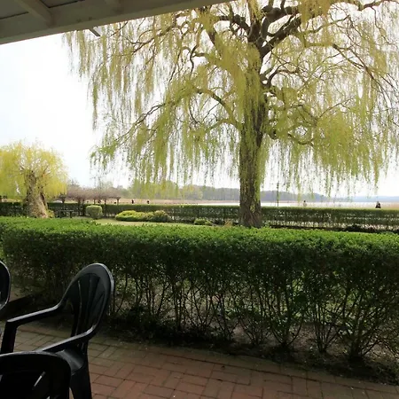 Seerosen By Rujana 宾茨